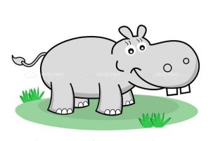 Happy hippopotamus